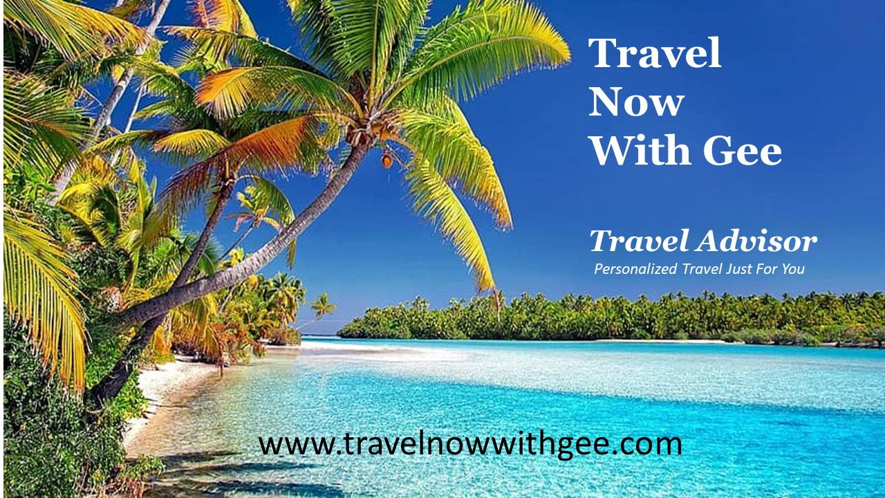 Travel Now With Gee
