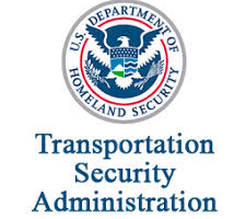 tsa logo 2