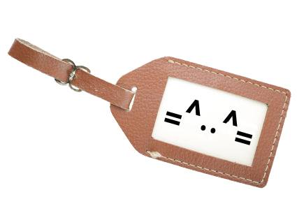 Squeaks luggage tag